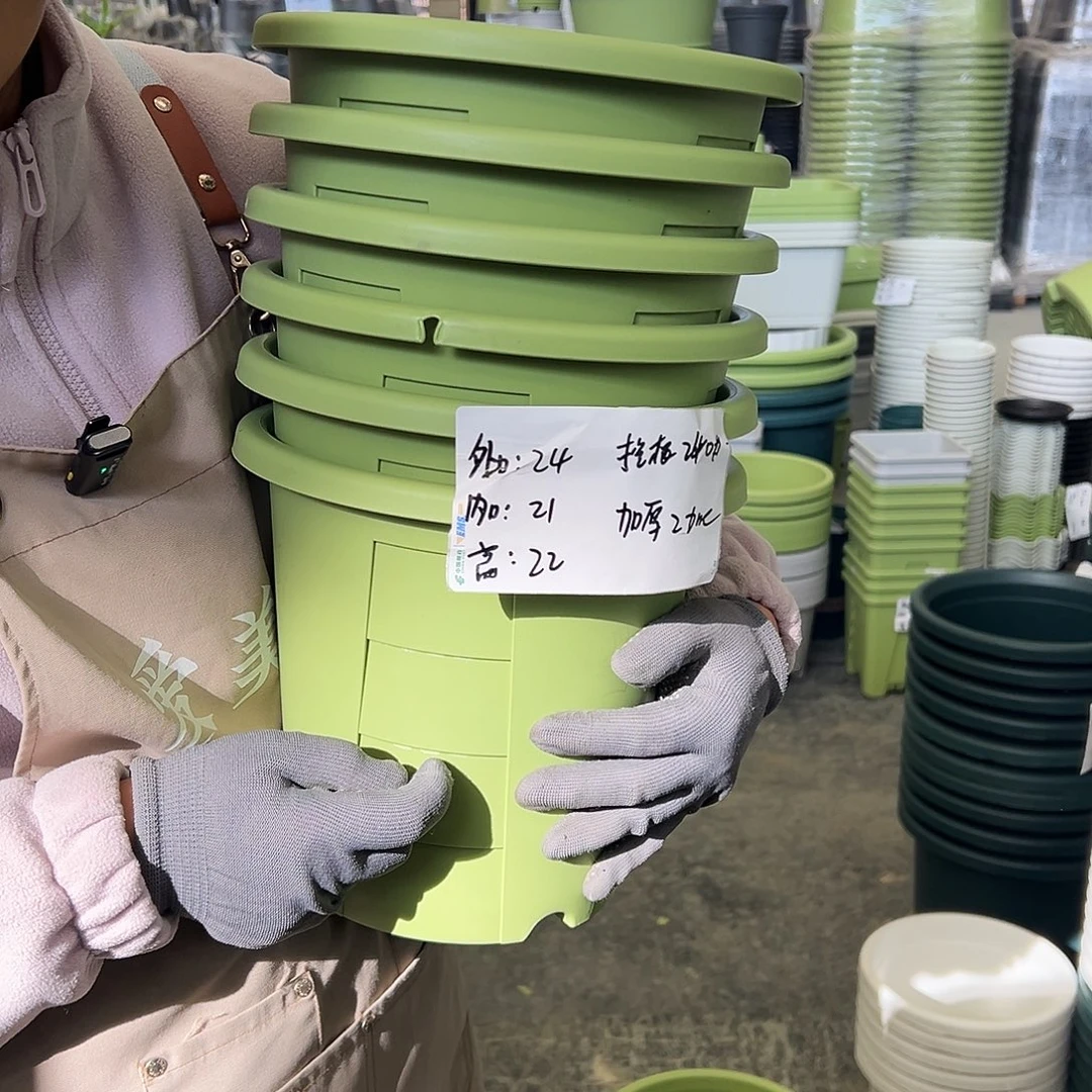 瑕疵玫瑰240#果绿色6个无托