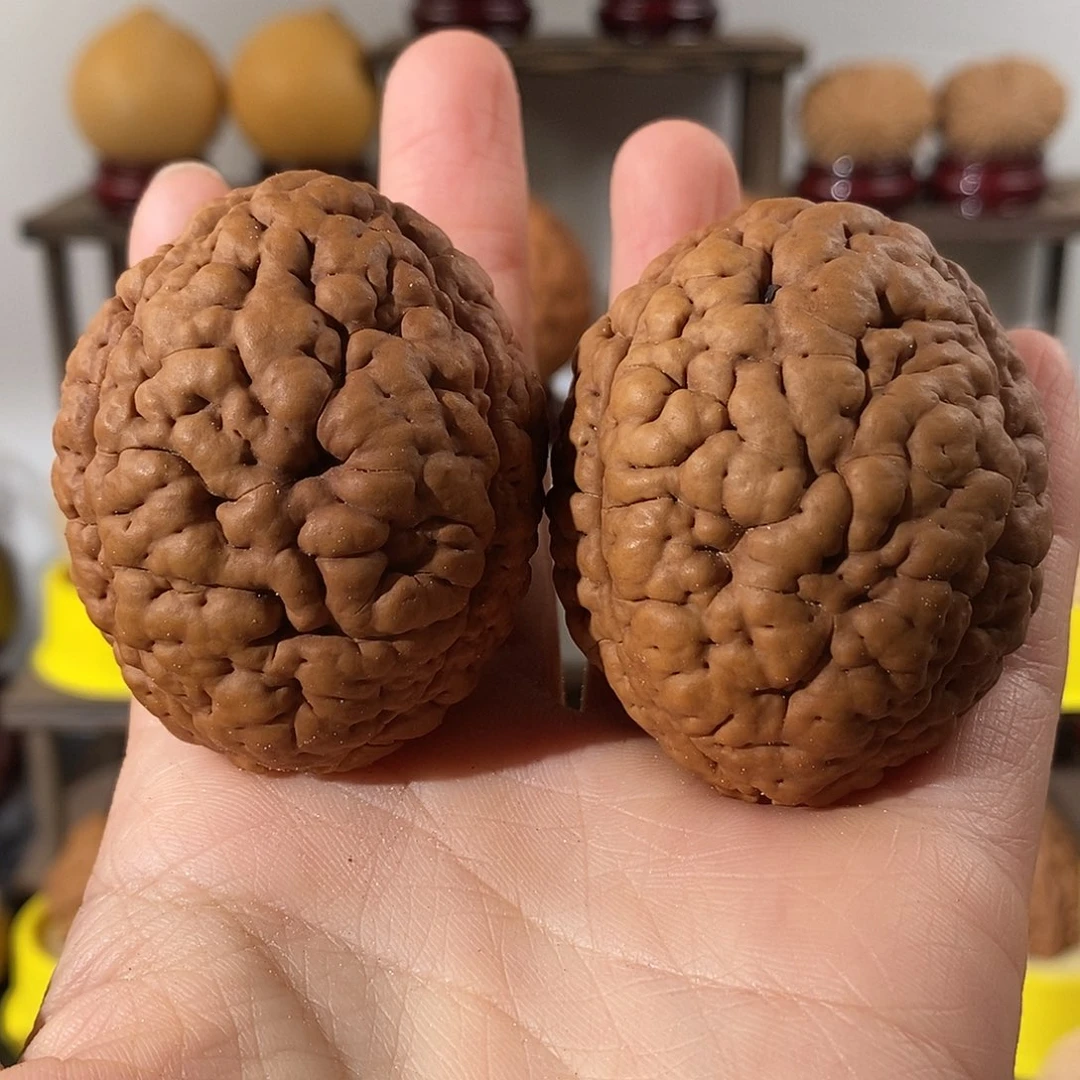 吊坠文玩核桃鸿**金三瓣脑纹金刚4554