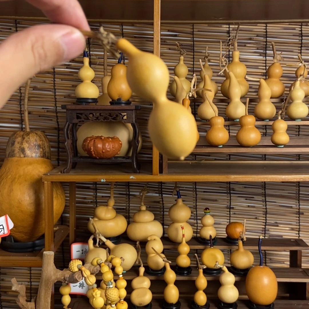 llllllllll一物一拍002