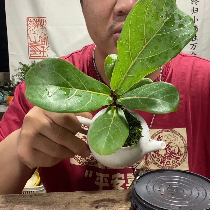 一物一拍所见即所得108