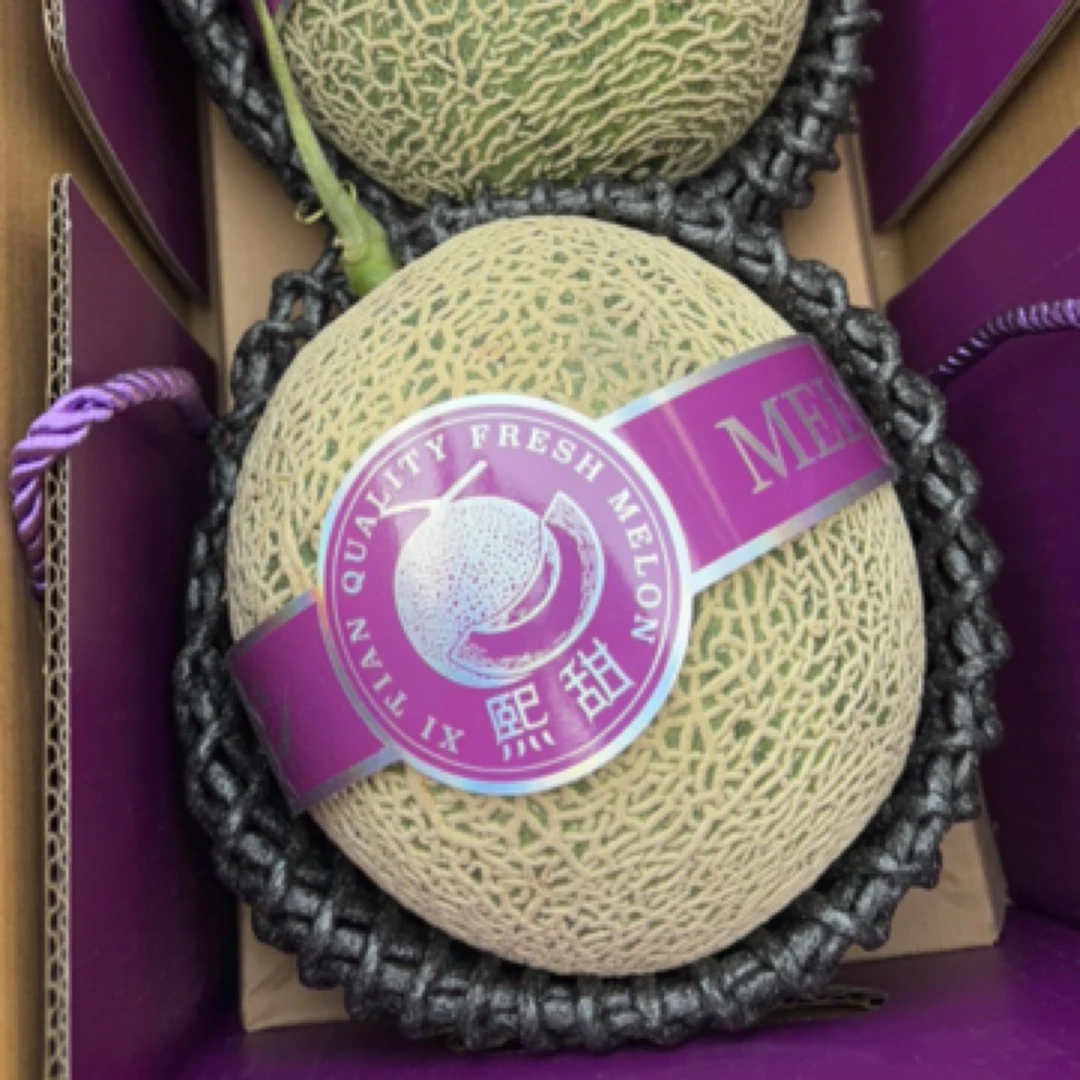 熙甜网纹瓜2个4～5斤