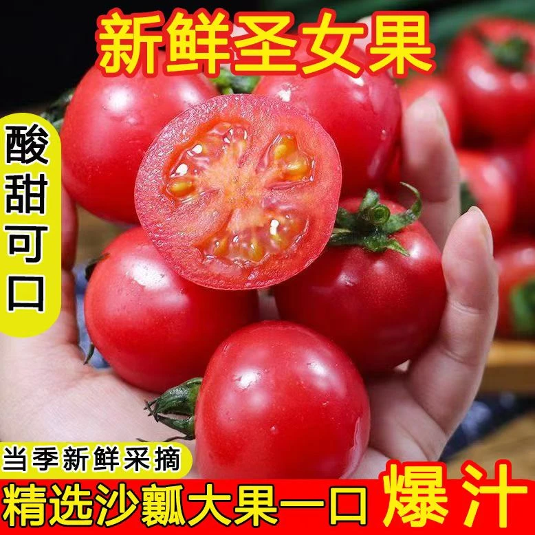 云南元谋高原露天樱桃番茄/圣女果/ 5斤装