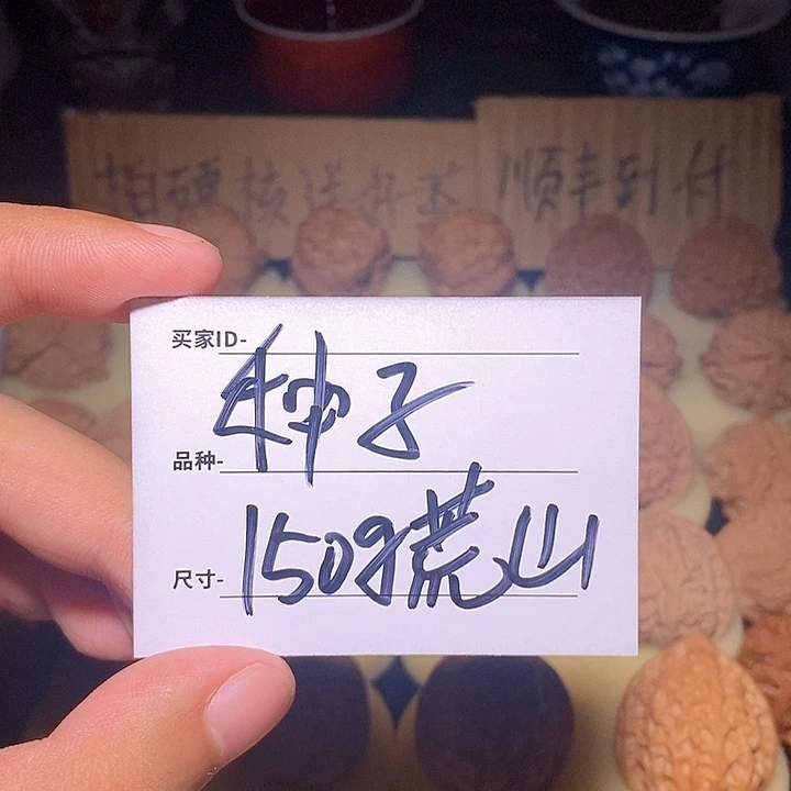 小***T文玩核桃手把件荒山