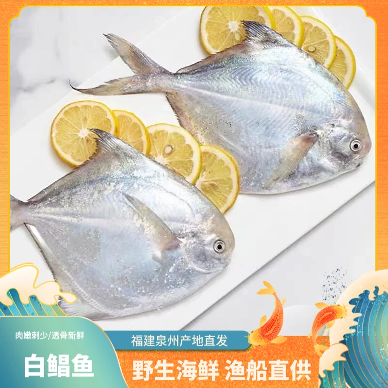 【小白鲳鱼】直播间海鲜螃蟹鱼虾顺丰发货新鲜到家