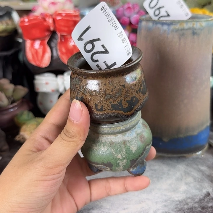 重庆小燕子欢迎大家291