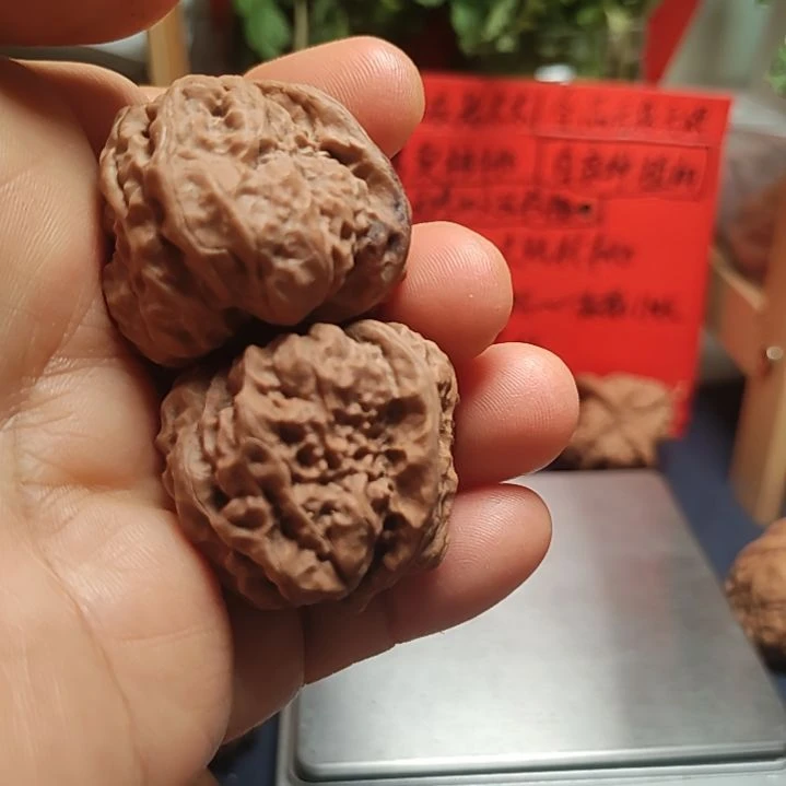 文玩核桃把件青*蛤蟆