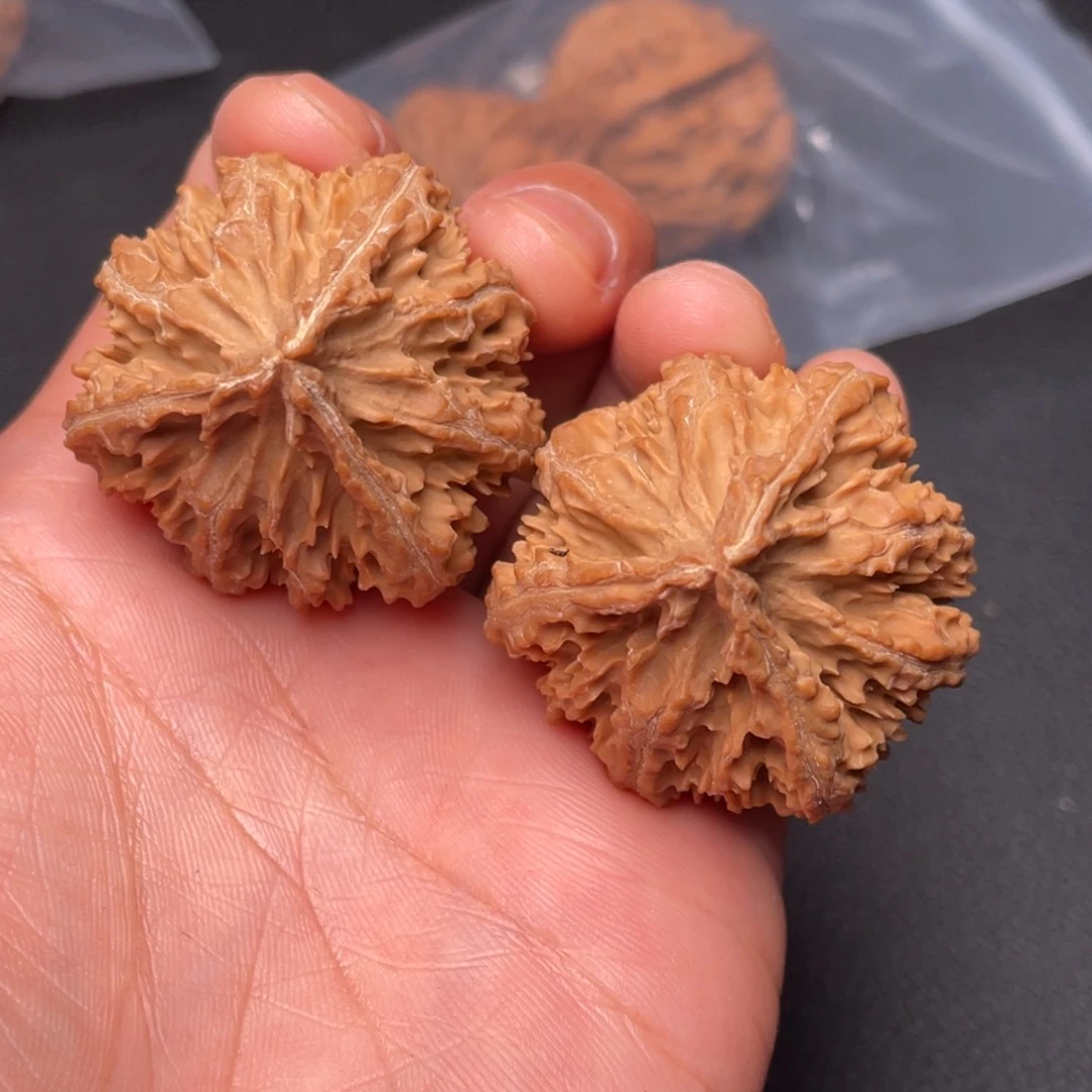 把件文玩核桃秦岭山脉的东缘