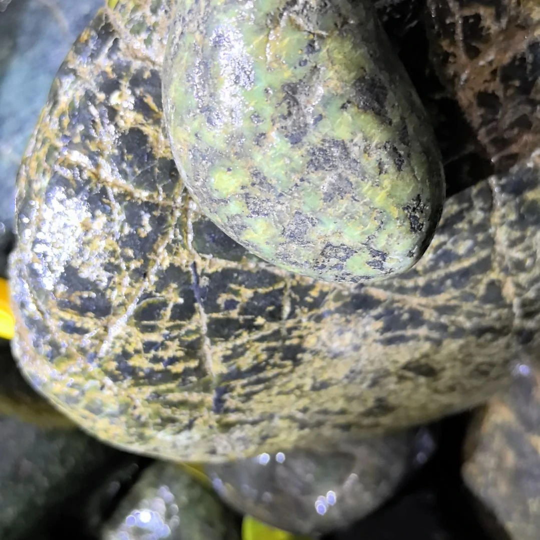 真***叶木藏玉药王石原石一个