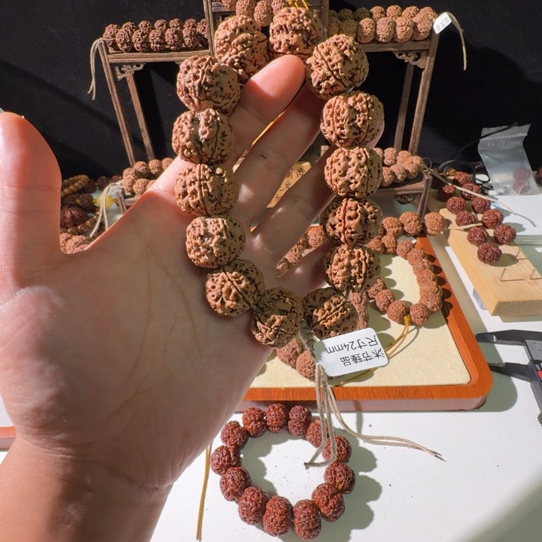 手串金刚菩提24尺寸原生态