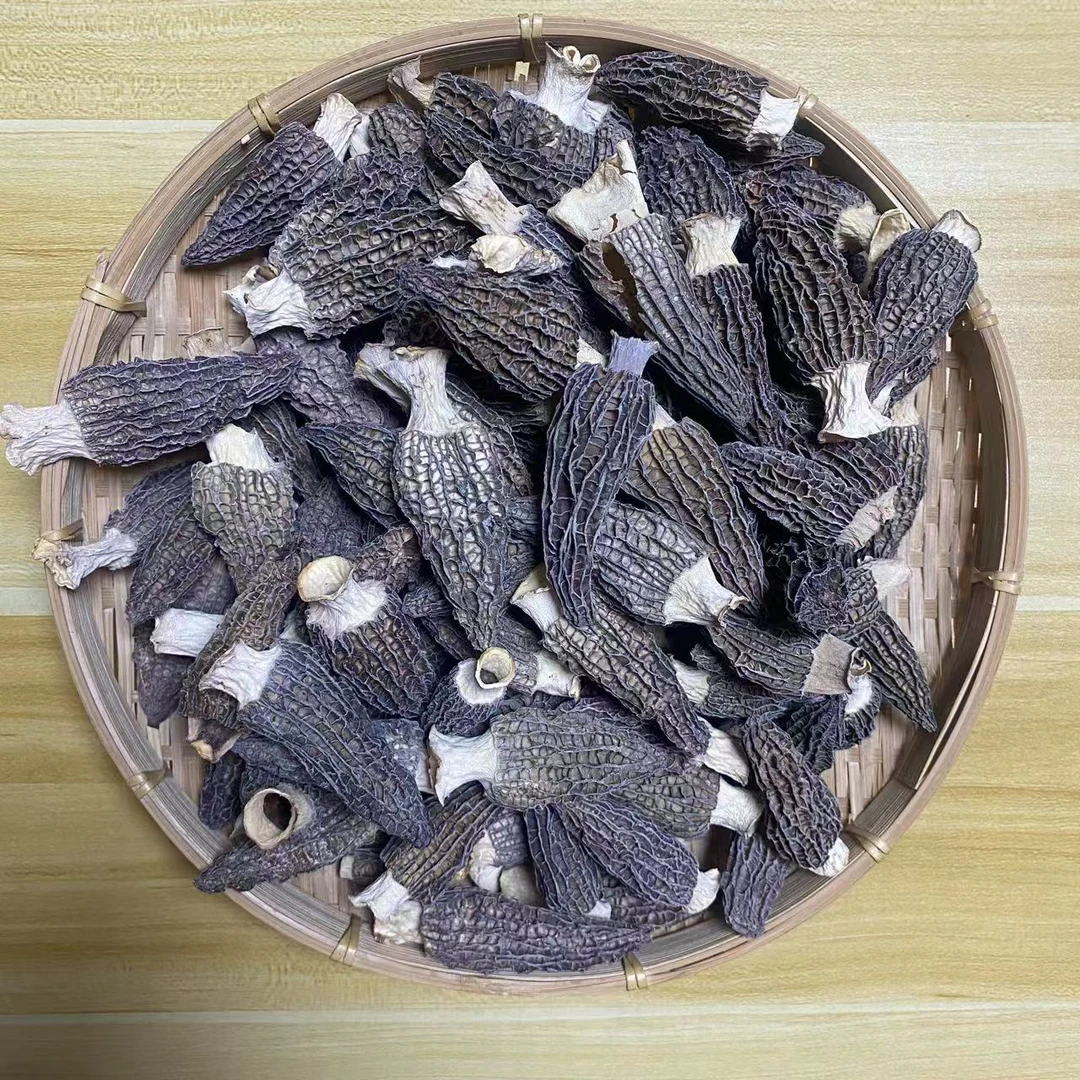 宝珠甄选-羊肚菌头茬