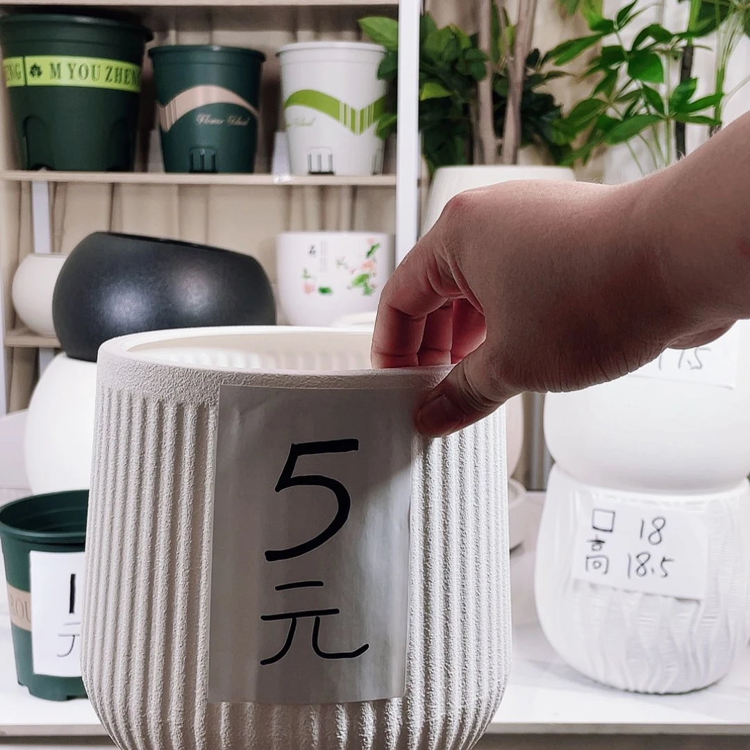 亏米发：聚宝盆190，5元一个
