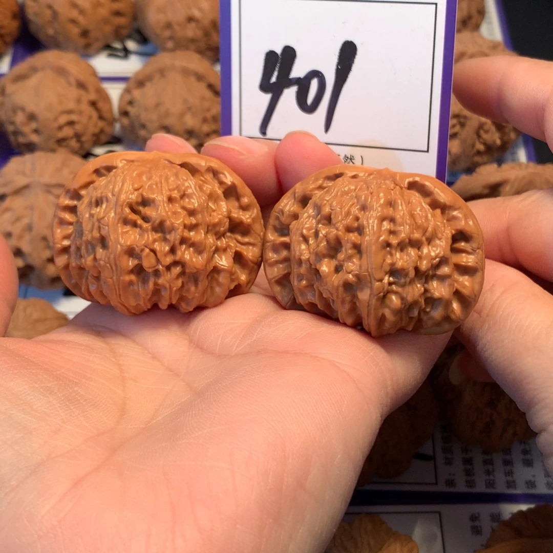 核桃401白狮子4.3