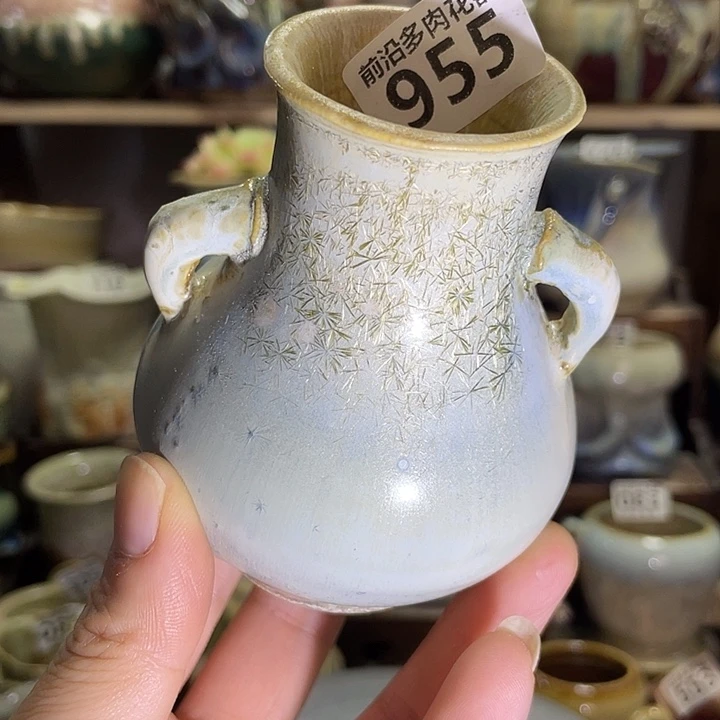 狼盆内口径3高度7