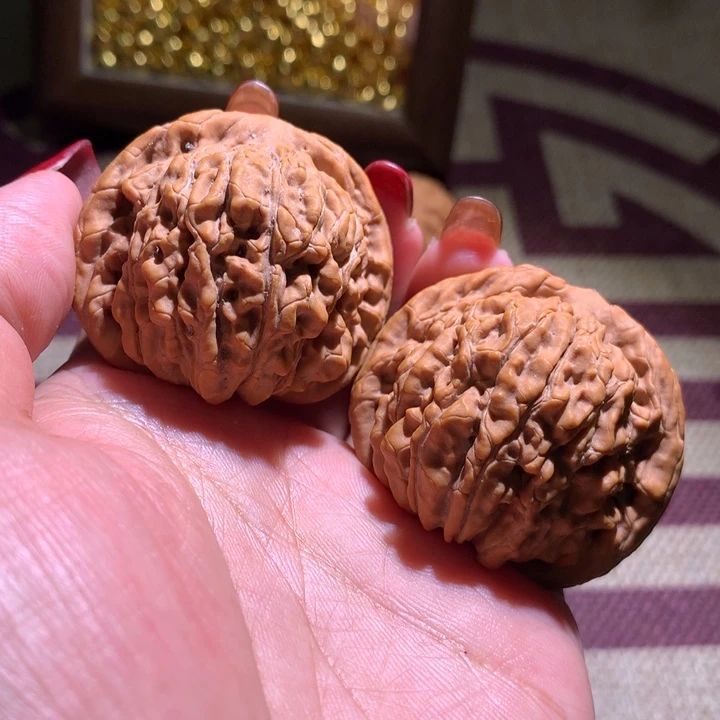 张*小101楼00000000