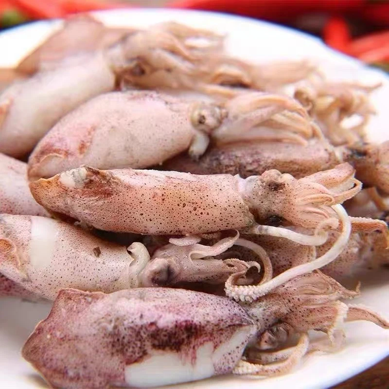 温州特产大号海兔子鱿鱼仔笔管鱼小墨鱼仔特色海鲜水产品顺丰包邮