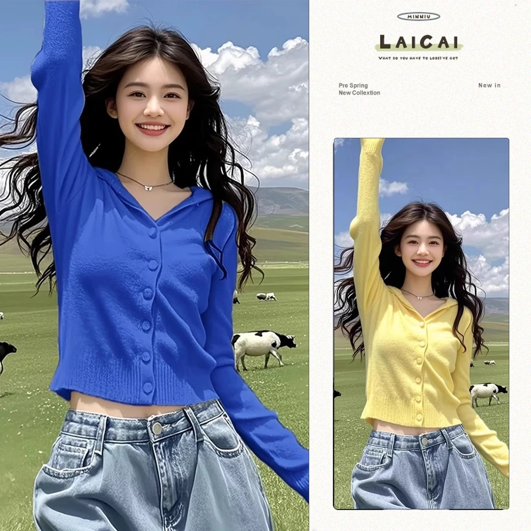 洋气连帽针织开衫女春秋设计感减龄显瘦气质毛衣短款外套别致上衣