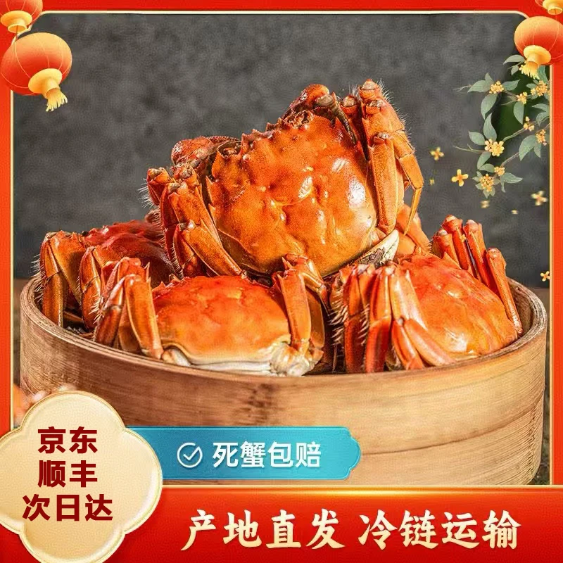 【活蟹】江苏螃蟹大闸蟹母蟹2两8只京东顺丰包邮 次日达鲜活到家 现补现发大闸蟹鲜活发货海鲜
