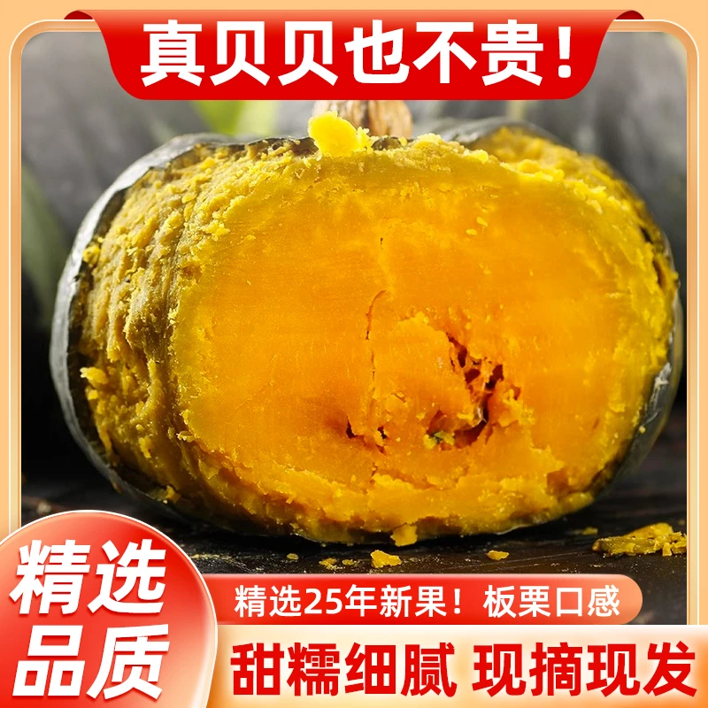【坏果包赔】沙地贝贝粉糯香甜板栗味贝贝小南瓜辅食粗粮代餐