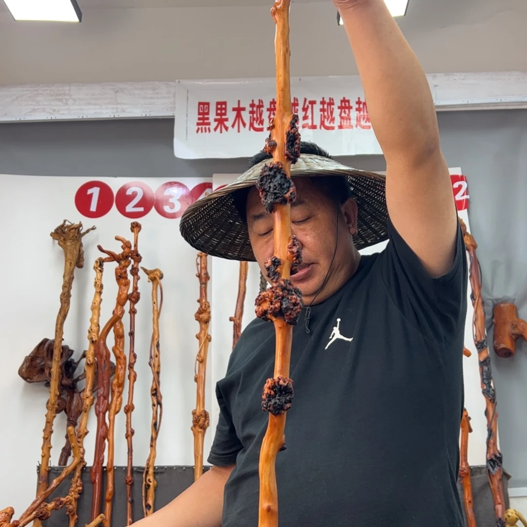 生***义黑果木其他黑果木208