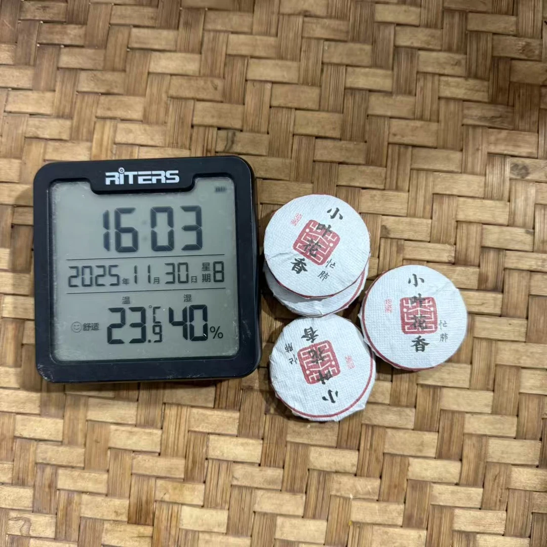 2019年忙肺小叶花香普洱生茶小圆饼SF1号11月30日