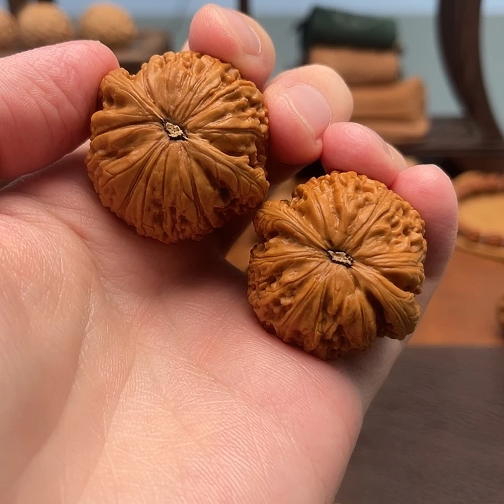 文玩核桃吊坠蛟龙38点修