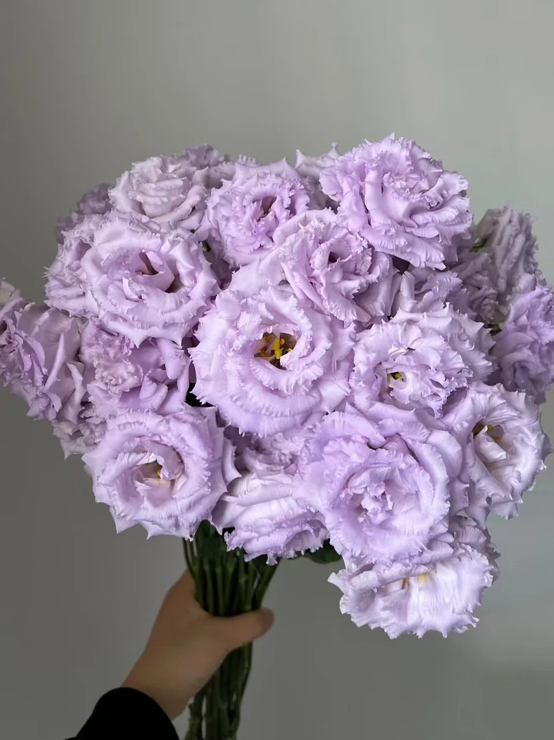 54 浅紫波浪桔梗一小把6朵+吸色紫荷包蛋小菊3支+紫色紫罗兰一把