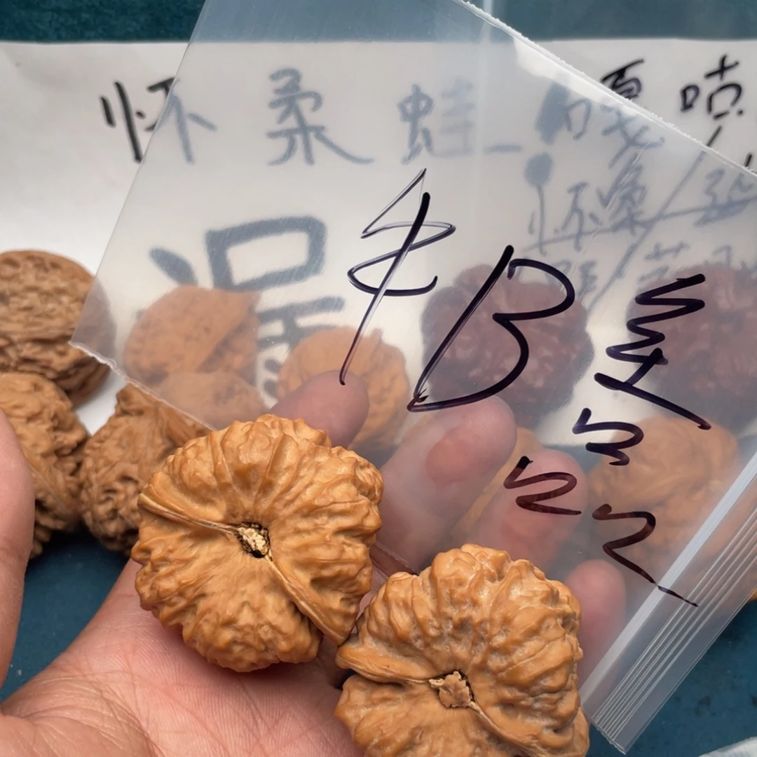 核桃W:69694496497479497947