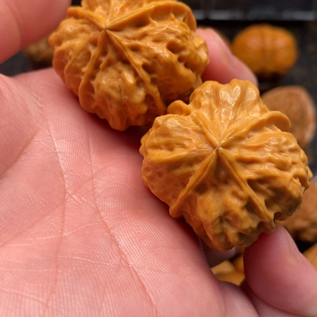 文玩核桃把件龙脊四棱