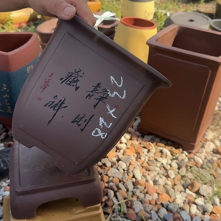 紫砂花盆紫砂花盆