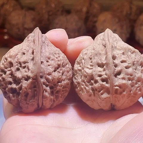 子***语把件文玩核桃子不语38金嘴寿桃带彩