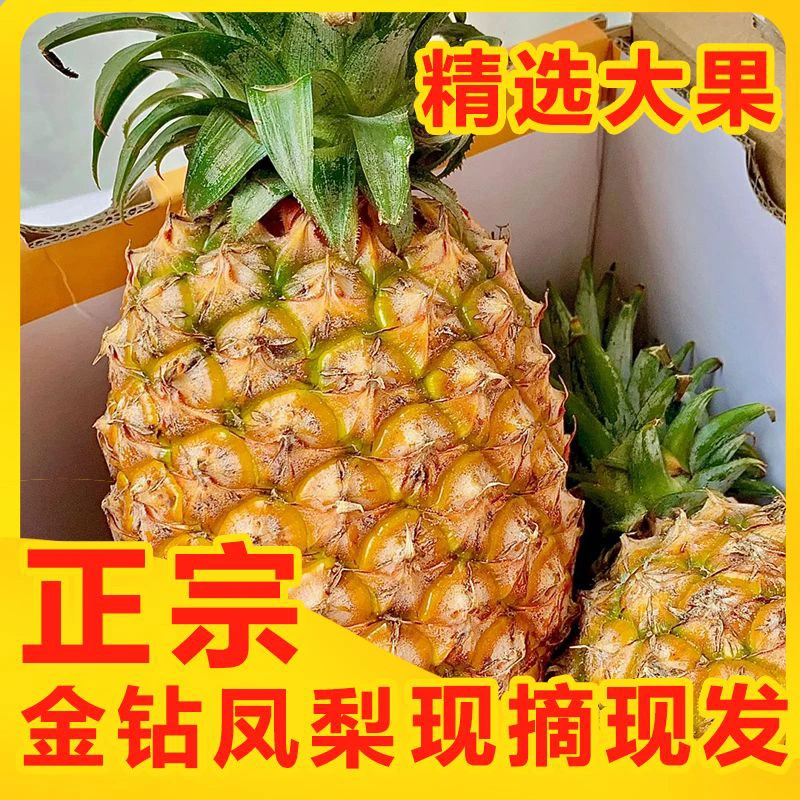 正宗海南金钻凤梨应季水果削皮即食香甜多汁产地直发坏果包赔