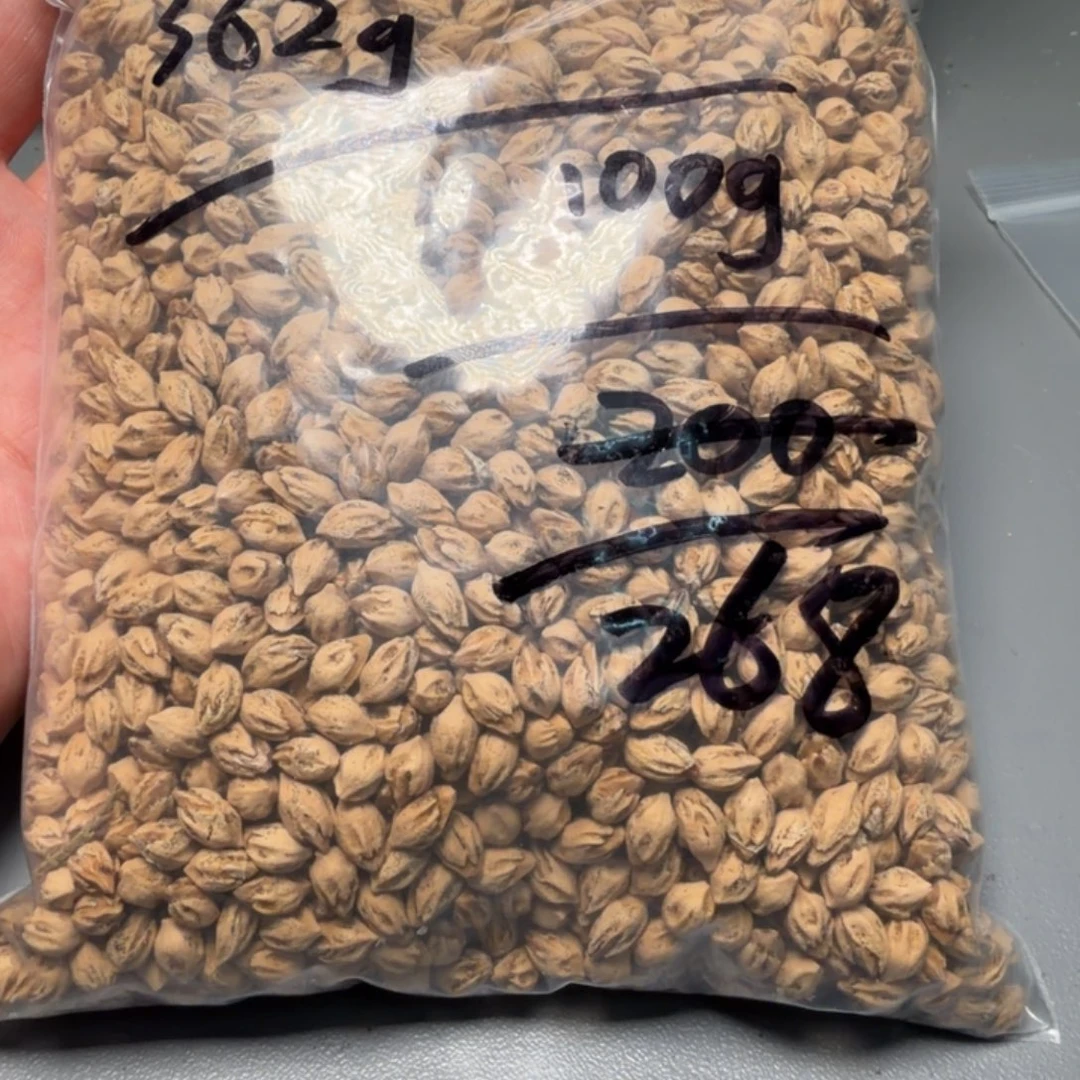 风***止柏香籽/百香籽吊坠