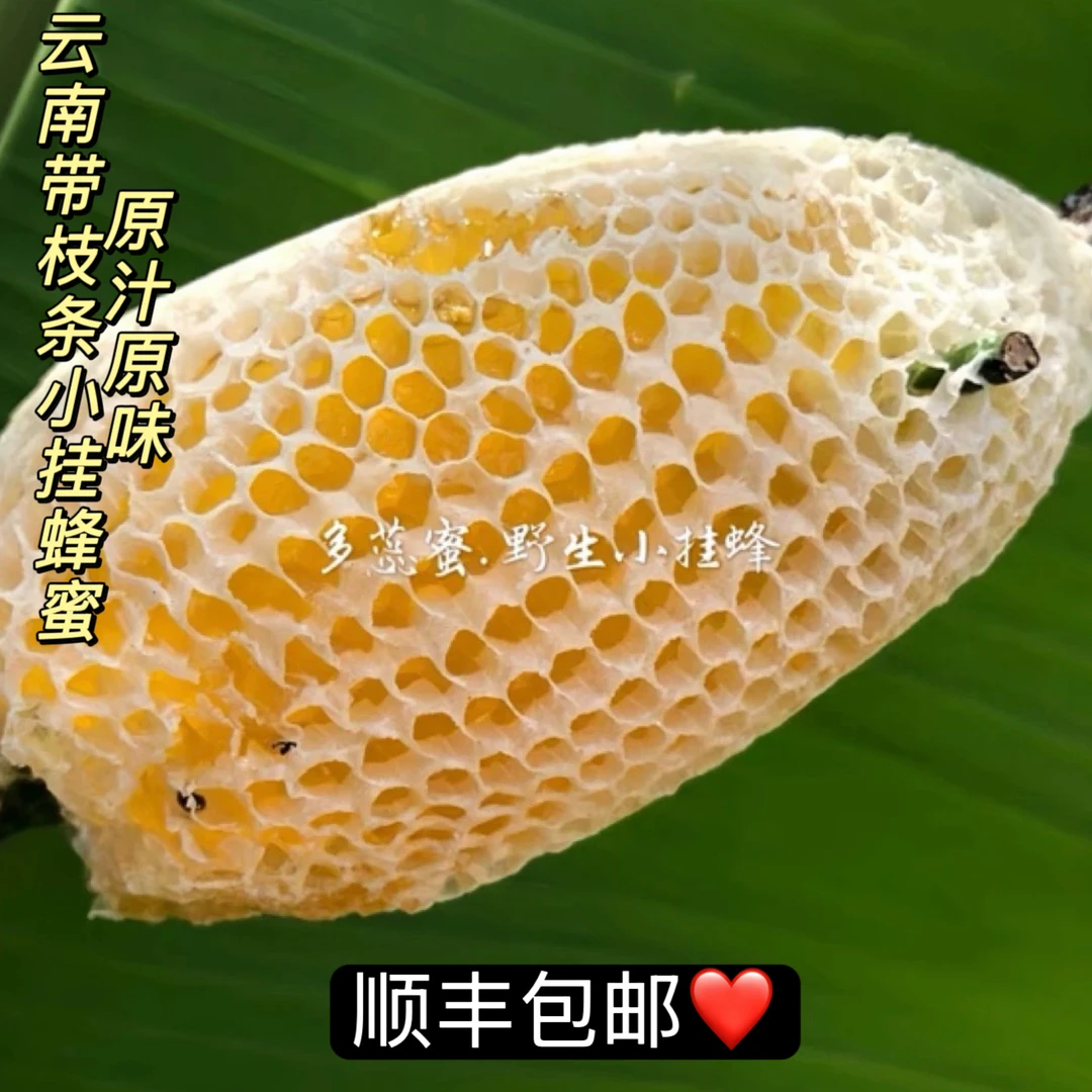 多蕊蜜工坊云南小挂蜂蜜，小草蜂，甜而不腻十二年实体店一手货源