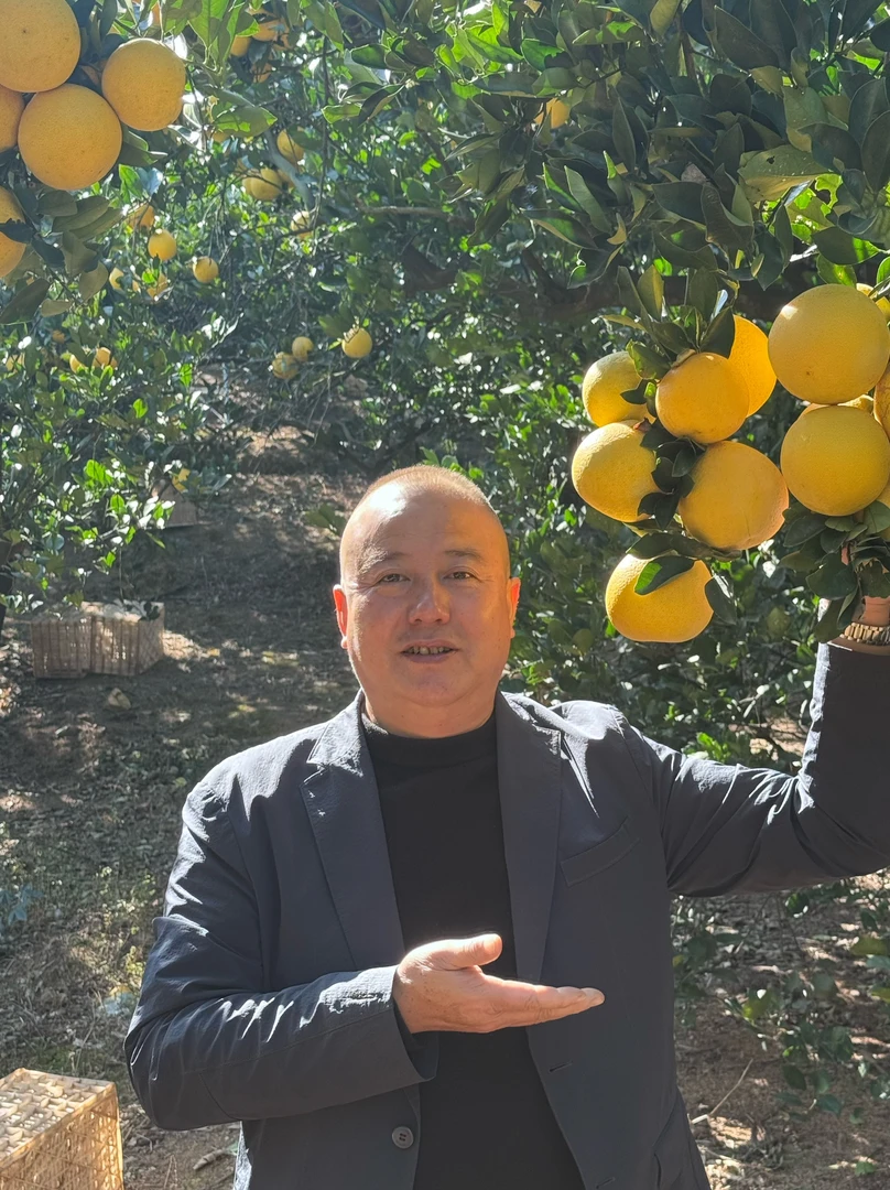 华叔亲选胡柚现摘现发自家果园当季胡柚整箱装