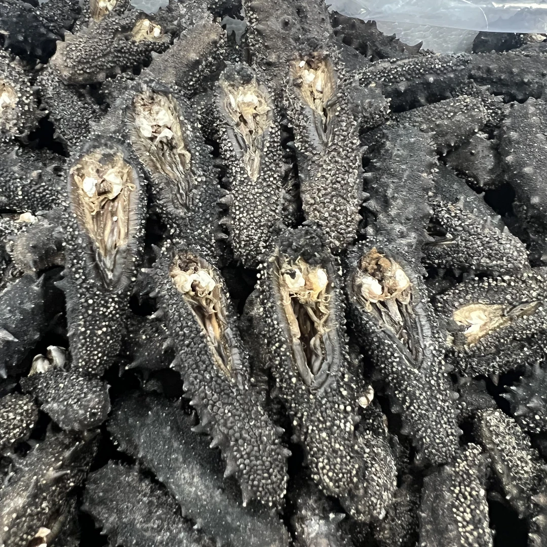【工厂直发】大龅牙60-70头纯淡干海参高泡发高品质深海滋补肉厚