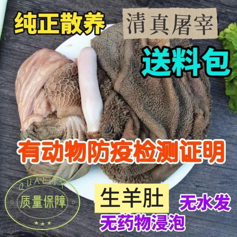 新鲜羊肚整套冷冻肚生羊肚商用（回家自己清洗）