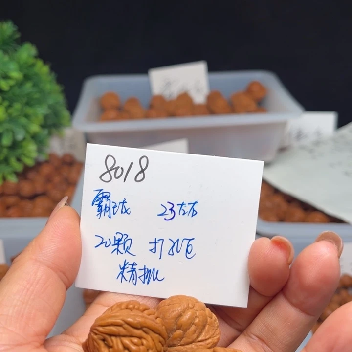 手串桃核霸王龙23左右20颗