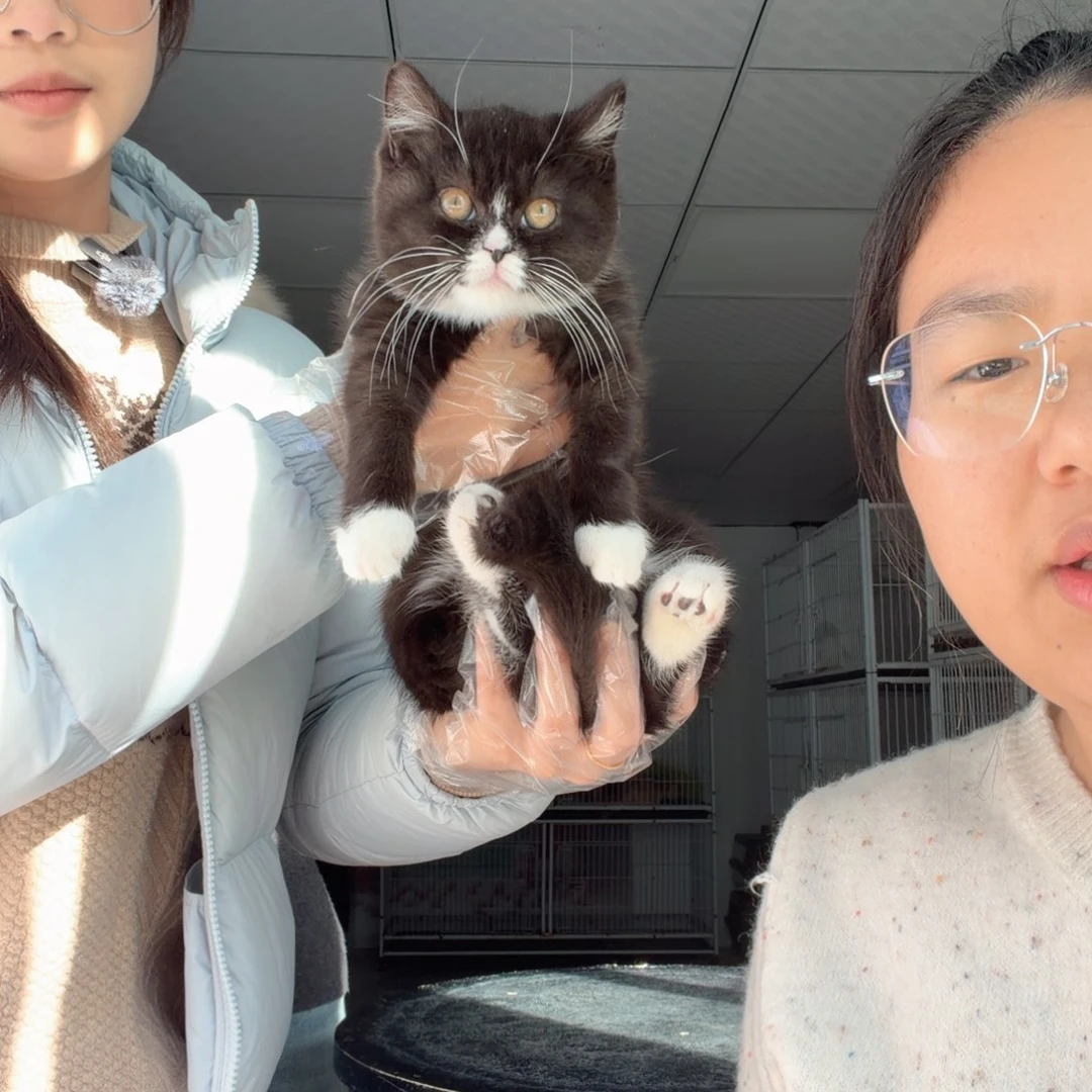 黑白弟弟两针疫苗
