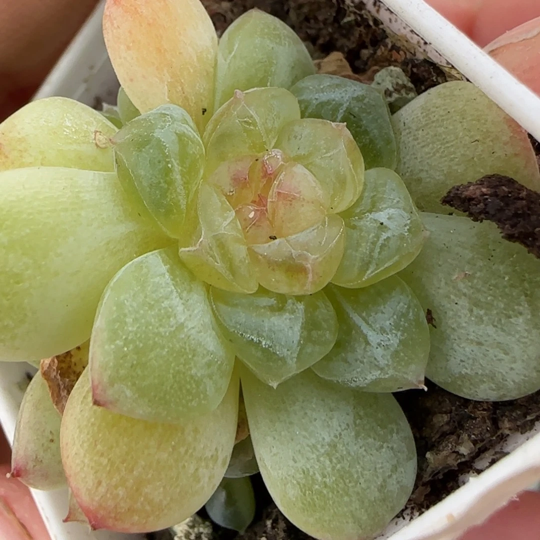 677 一个满25包邮