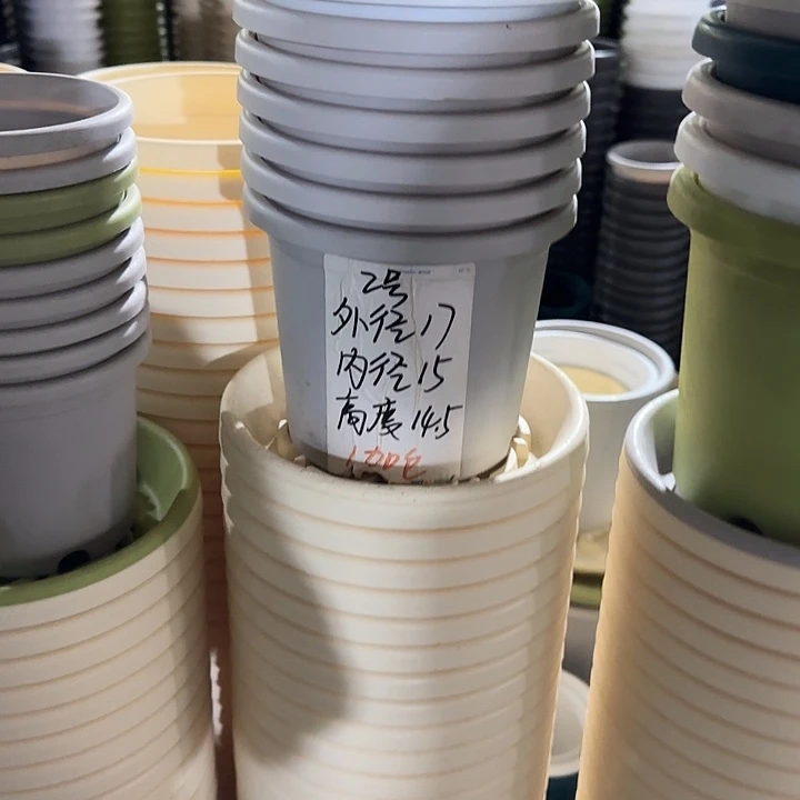 微瑕2#口径17无托果绿6个