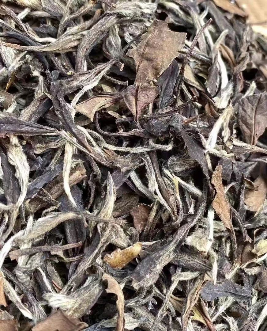 2025年  达贡400年古树（白茶）（MD0031） --七七