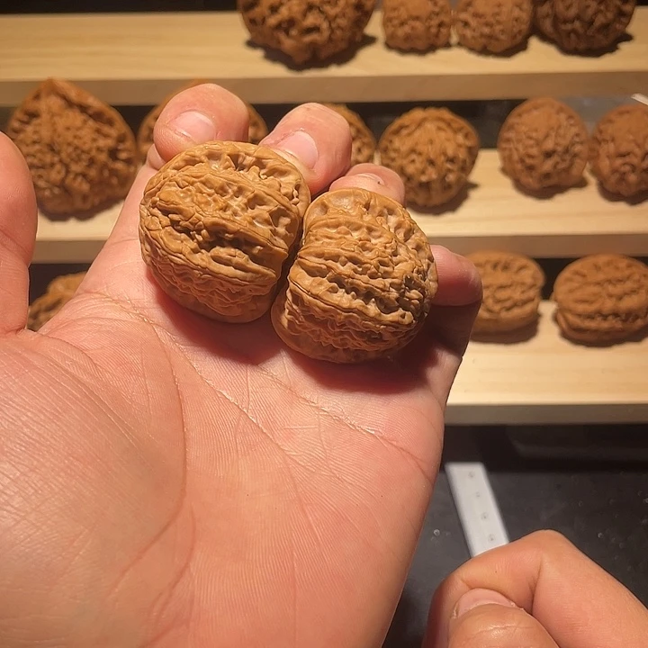 文玩核桃吊坠白狮子