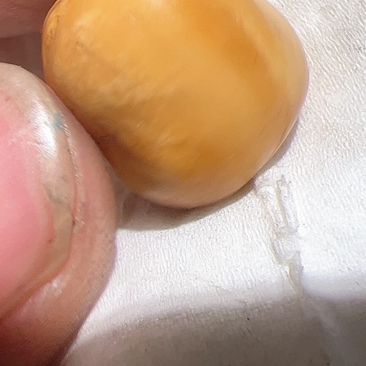 香榧木日**花你的时候你是