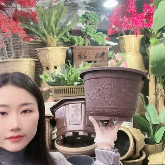 红陶梅花30盆10个有孔