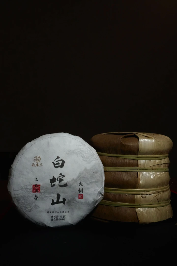 (新人福利)2025年 刮风寨核心区白蛇山 挑采头春100克 (拍一发二)