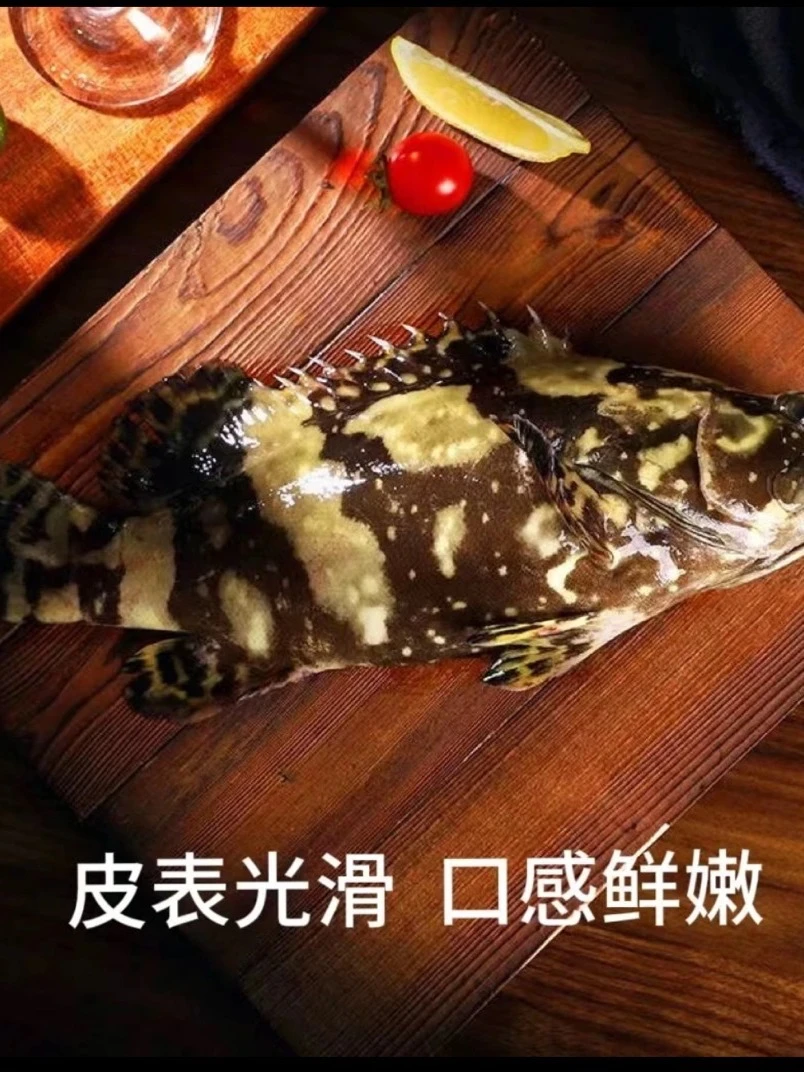 深海龙胆 珍珠老虎石斑鱼 鲜活速冻锁鲜 顺丰发货
