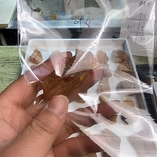 琥珀裸石未镶嵌强*