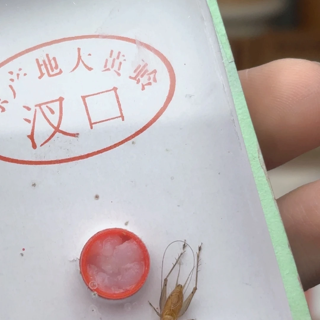 哈哈哈哈哈哈哈哈哈