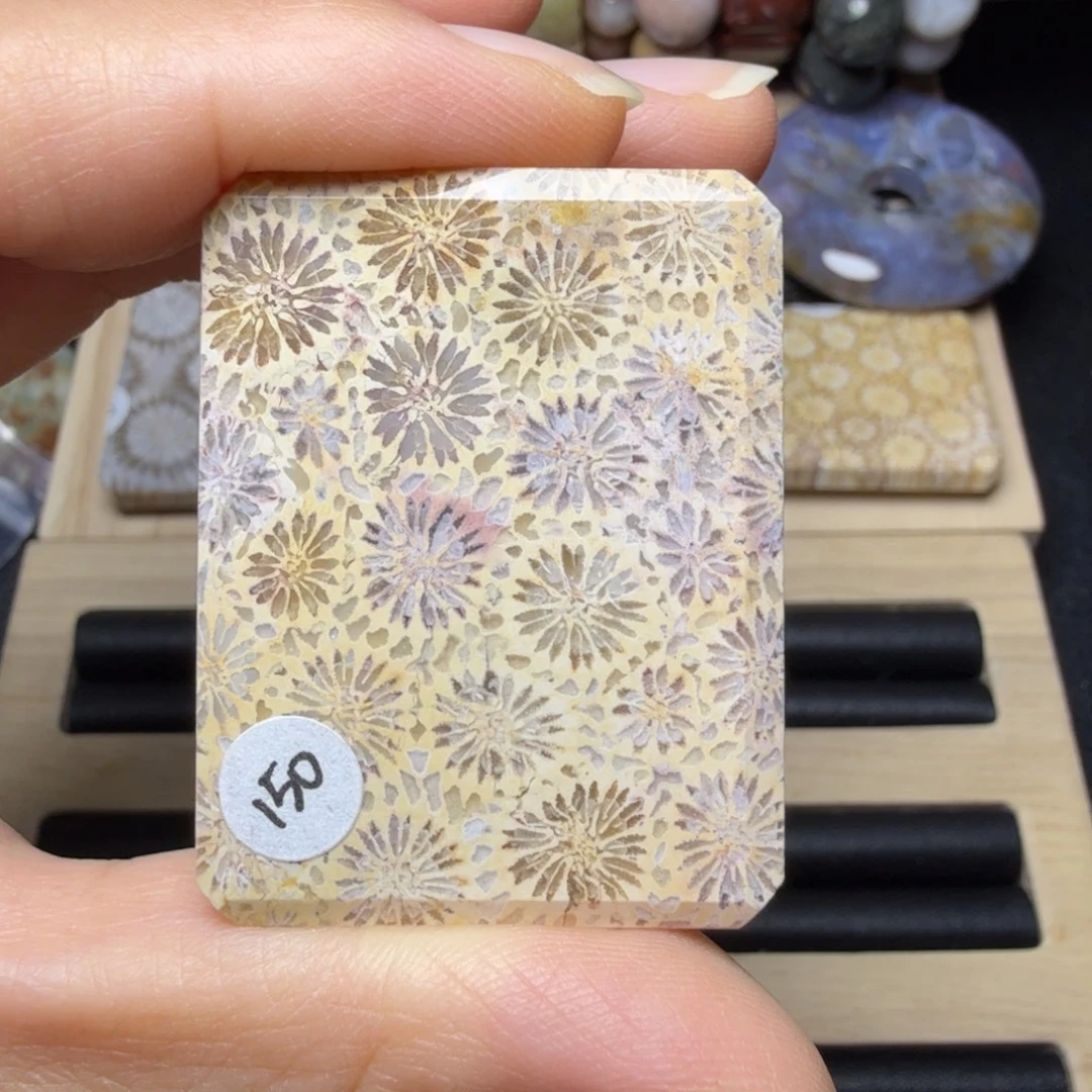 硅化玉未镶嵌清晰的黄紫大丽菊