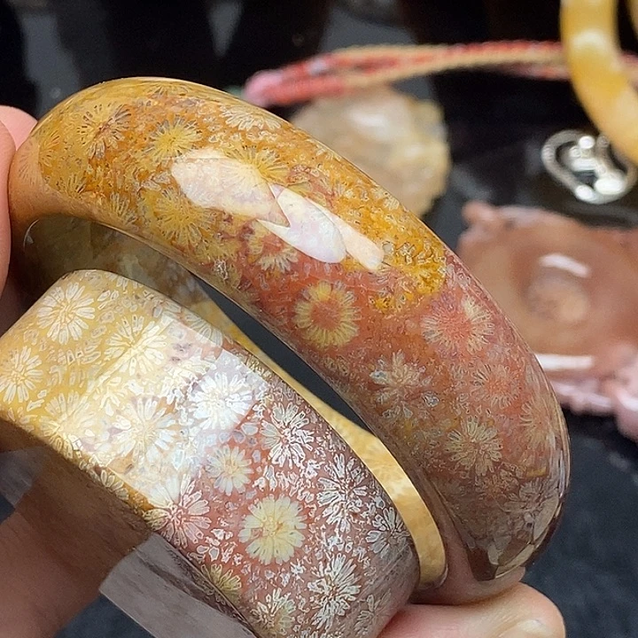 硅化玉未镶嵌颈饰56,6